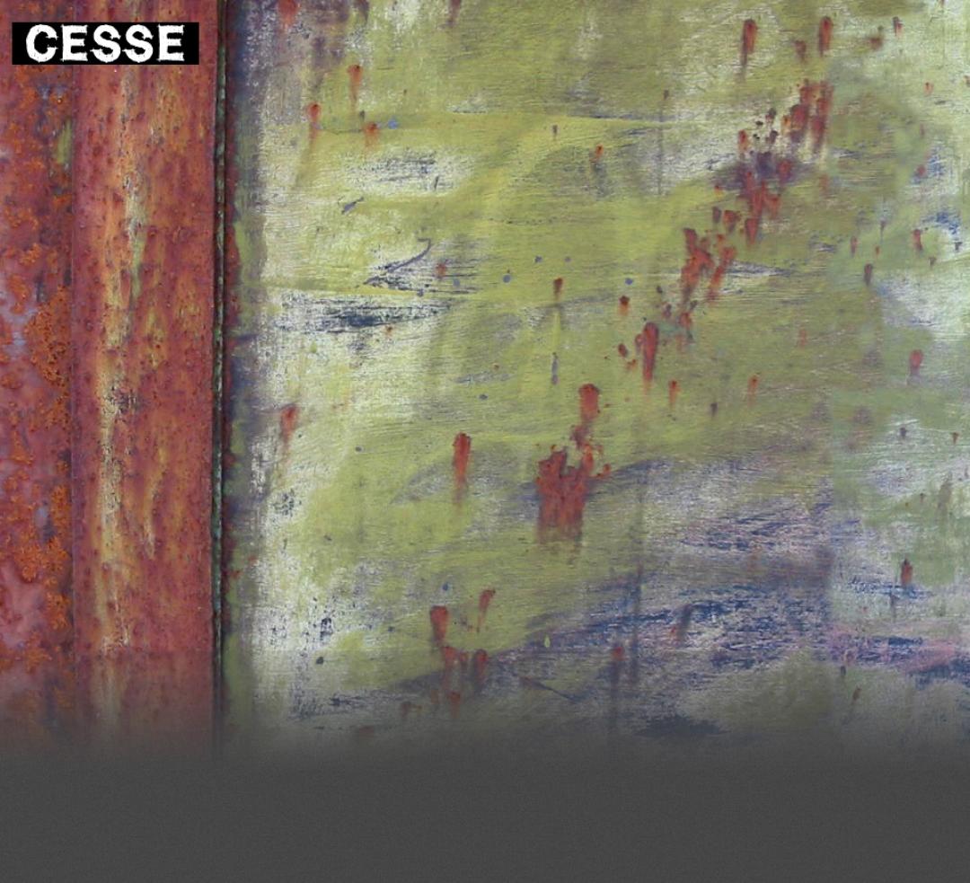Cesse - Artiste peintre - Collado Cécile