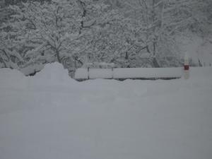 Le chemin du Planet sous la neige 2006 (8)