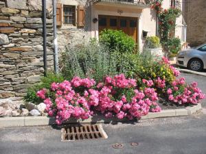 Massif fleuri à  Laroque (50)