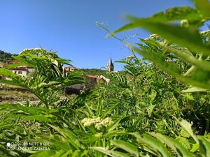 Nature et Laroque (109)