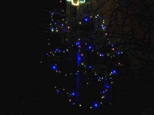 Sapin au Planet 2004 (9)