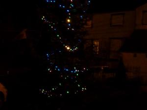 Sapin de Noêl en 2014 à Laroque (88)