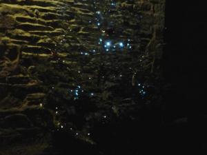 Sapin de Noêl en 2014 à Laroque (90)