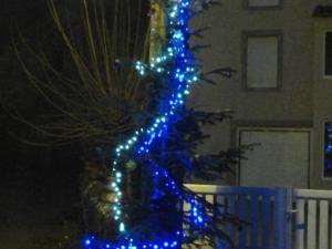 Sapin de Noêl à La Graverie (21)