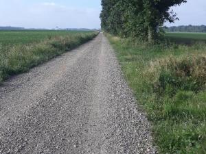 Sur le chemin de Saint Jacques de Compostelle 19