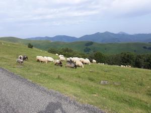 Sur le chemin de Saint Jacques de Compostelle 32