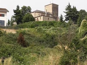 Sur le chemin de Saint Jacques de Compostelle 35