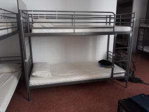 Sur le chemin de Saint Jacques de Compostelle 43