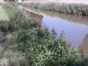 Sur le chemin de Saint Jacques de Compostelle 50