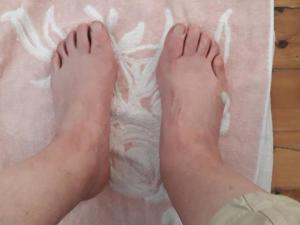 Sur le chemin de Saint Jacques de Compostelle 52