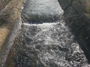 Sur le chemin de Saint Jacques de Compostelle 59