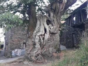 Sur le chemin de Saint Jacques de Compostelle 69