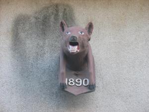 Un loup sur une facade à Laroque (103)