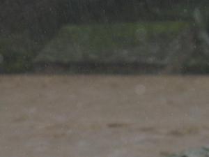 La Nuéjouls en crue à LAROQUE LE 28/11/2014 à 10 H 00 (26)