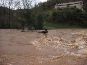 La Nuéjouls en crue à LAROQUE LE 28/11/2014 à 9 H 00 (10)