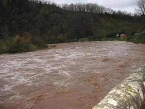 La Nuéjouls en crue à LAROQUE LE 28/11/2014 à 9 H 00 (13)