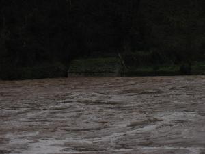 La Nuéjouls en crue à LAROQUE LE 28/11/2014 à 9 H 00 (15)