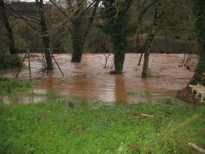 La Nuéjouls en crue à LAROQUE LE 28/11/2014 à 9 H 00 (8)