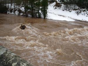 Laroque sous la neige en janvier 2006 (5)
