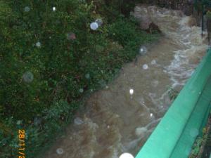 Le ruisseau de LAGRAVERIE LE 28/11/2014 (66)