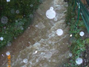 Le ruisseau de LAGRAVERIE LE 28/11/2014 (68)