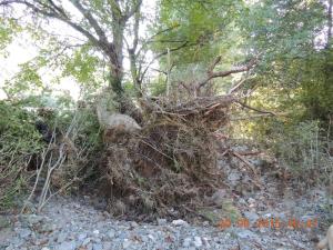 Orage du 13/09/2015 Laroque (101)