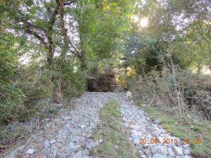 Orage du 13/09/2015 Laroque (102)