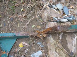 Orage du 13/09/2015 Laroque (40)