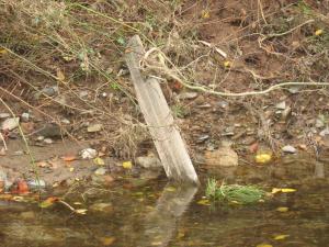Orage du 13/09/2015 Laroque (53)
