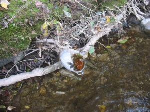 Orage du 13/09/2015 Laroque (85)