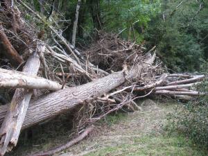 Orage du 13/09/2015 Laroque (88)