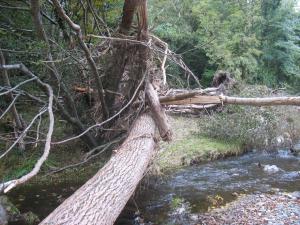 Orage du 13/09/2015 Laroque (89)
