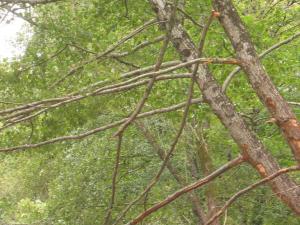 Orage du 13/09/2015 Laroque (93)