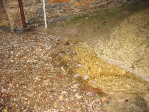 Rue de LAROQUE le 28/11/2014 (54)