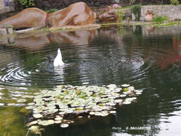 Visite - Les jardins de Ssaint Adrien (1)