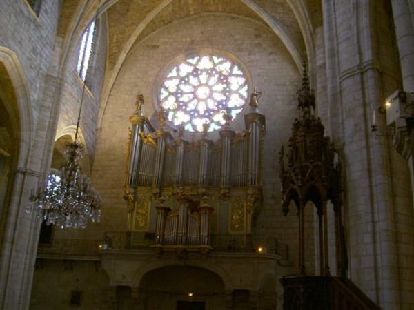 Visite - Cathédrale de Lodève (7)