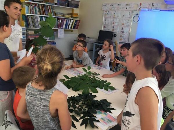 Projet  jardin - École de Fayet - 2016 - 2017 (1)