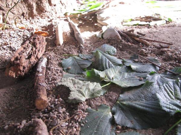 Travaux pratiques apres la visite du site des fouilles archéologiques au PLANET (15)