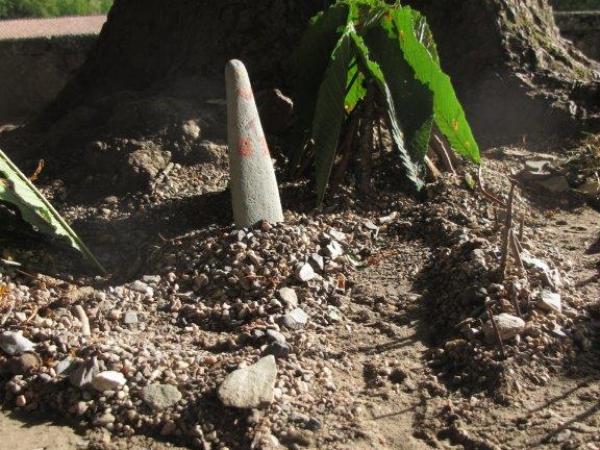 Travaux pratiques apres la visite du site des fouilles archéologiques au PLANET (7)