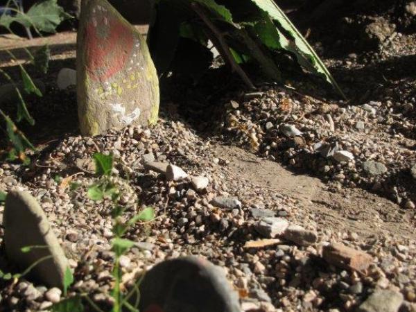 Travaux pratiques apres la visite du site des fouilles archéologiques au PLANET (8)