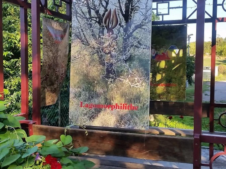 Art graphique - Cécile Collado - 09.2019 - Fayet (55)