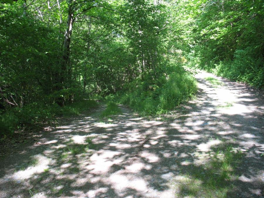 Chemin en forêt à Fayet (6)