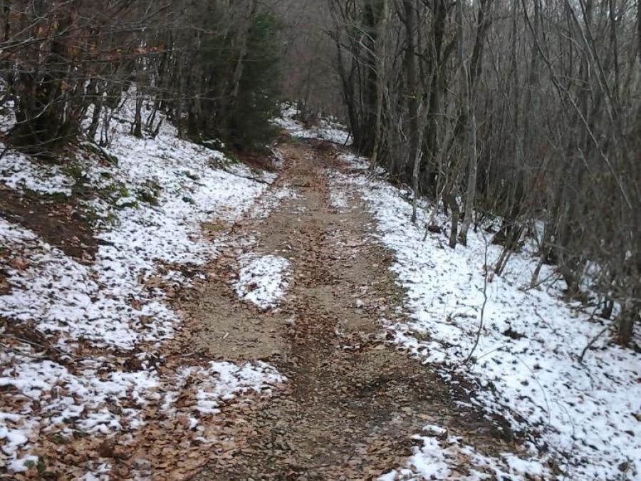 Chemin en forêt à Fayet (7)
