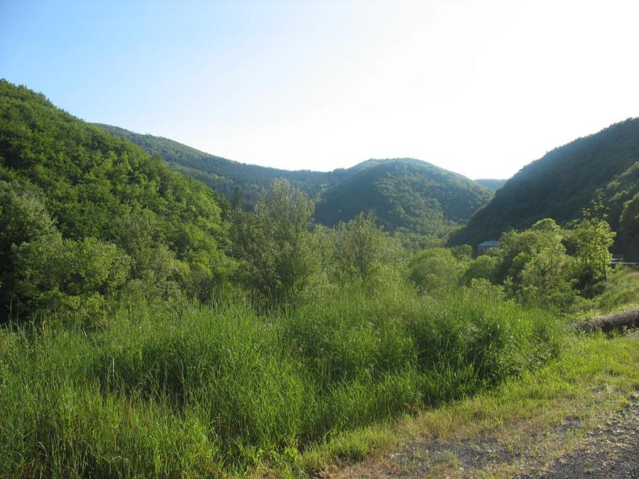 Collines et vallée à Fayet (5)