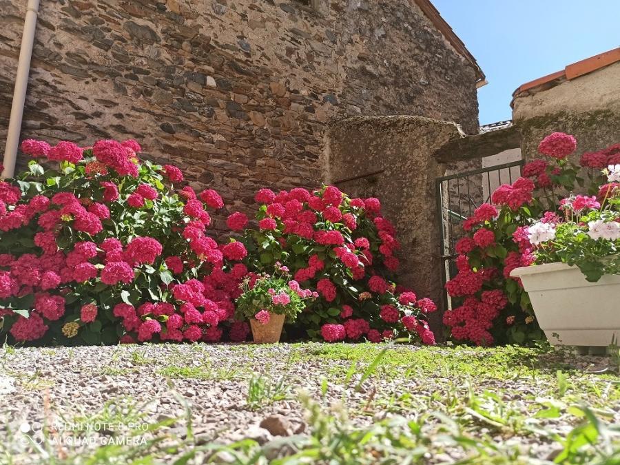 La cour de presbytère à Laroque (1)