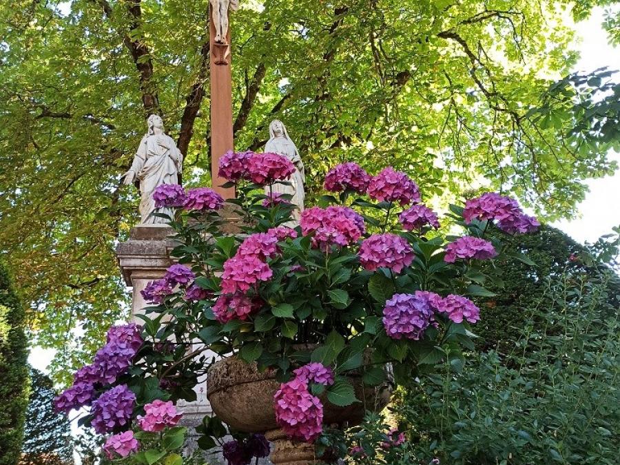Fleur et Croix à Laroque (3)