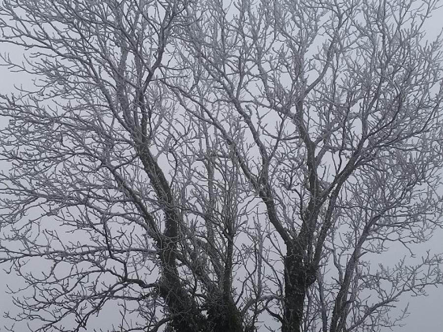 L'hiver est là à Fayet (3)