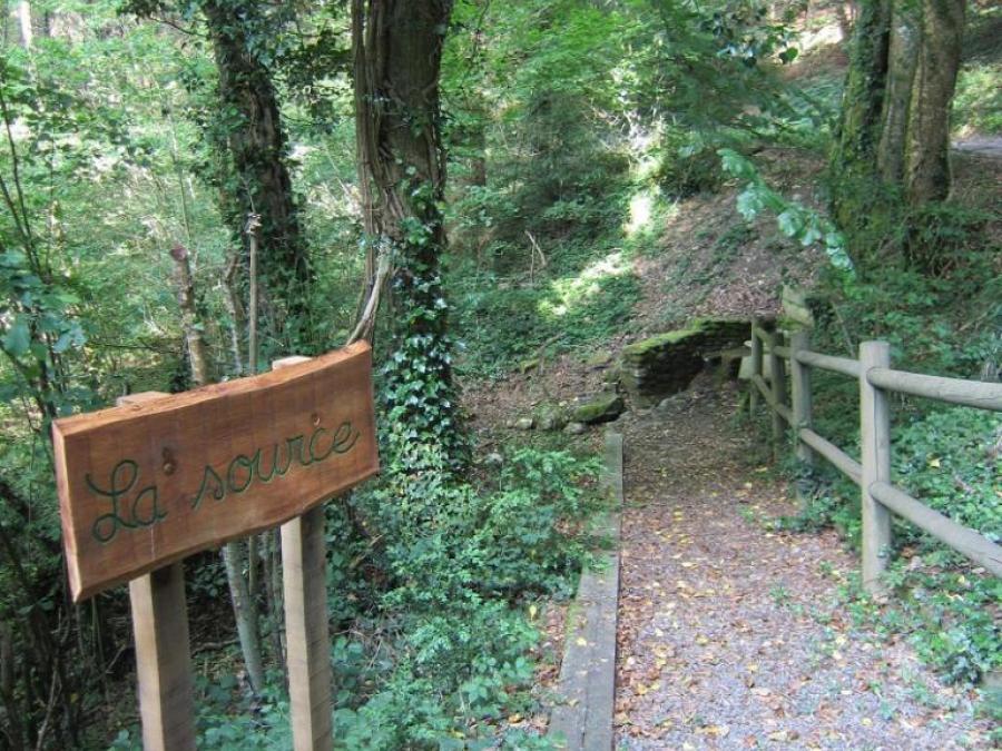 La source à Fayet (2)