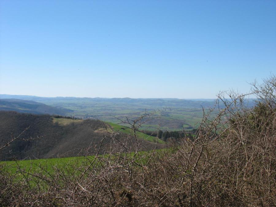 Vue du Rougier de Camarès depuis le pic de Roste (16)