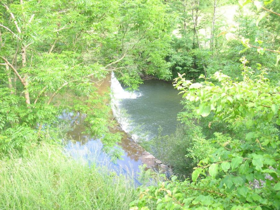 Les rives de la Nuéjouls - Fayet (4)